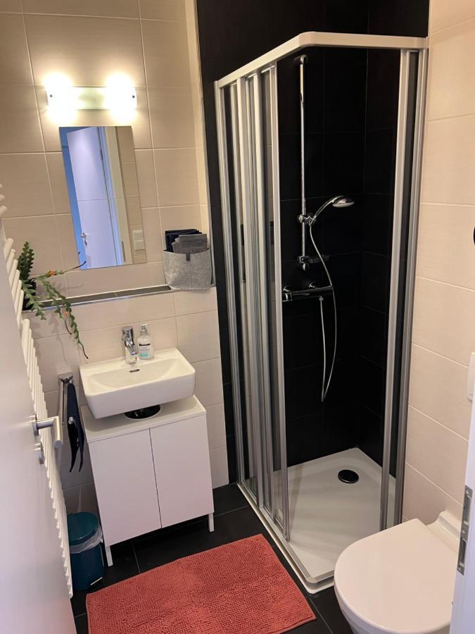 Apartament Penthouse-wohnung - Balkon - Dachterrasse - Zentrum *